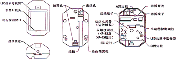 紅外線檢測器（防盜報警器/紅外線報警器）XP-42內(nèi)部結(jié)構(gòu)